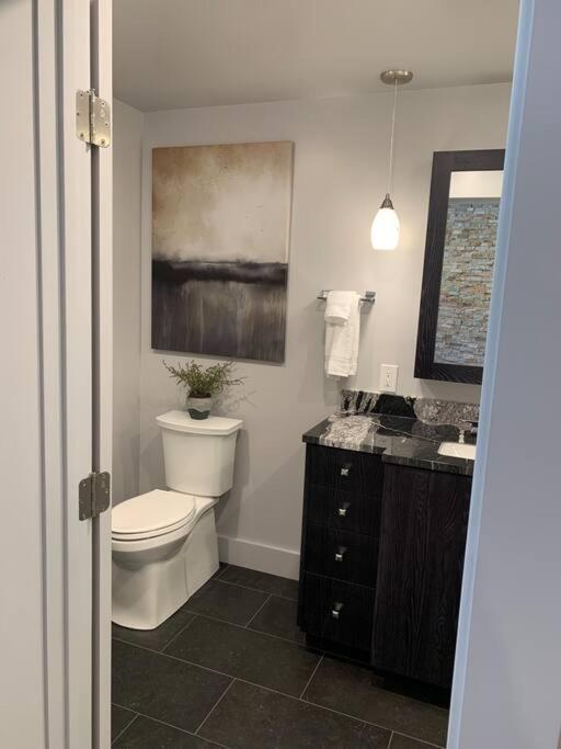 Luxurious1br In Town And Steps To The Gondola Telluride